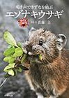 ―鳴き声できずなを結ぶ―　 エゾナキウサギ