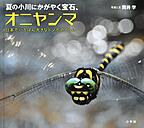 『夏の小川にかがやく宝石、オニヤンマ 　日本でいちばん大きなトンボのくらし』